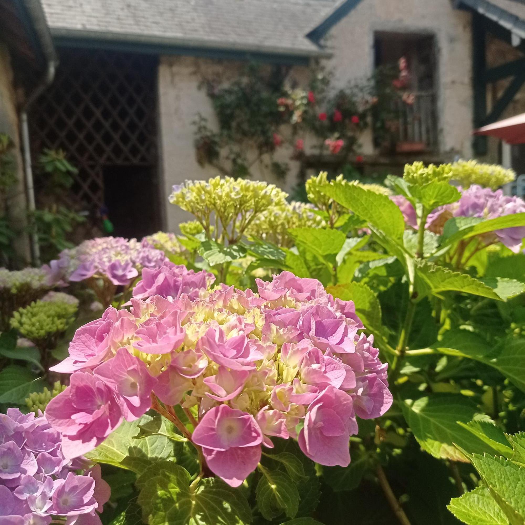 Le Clos De Cinacle Ogeu-les-Bains Dış mekan fotoğraf
